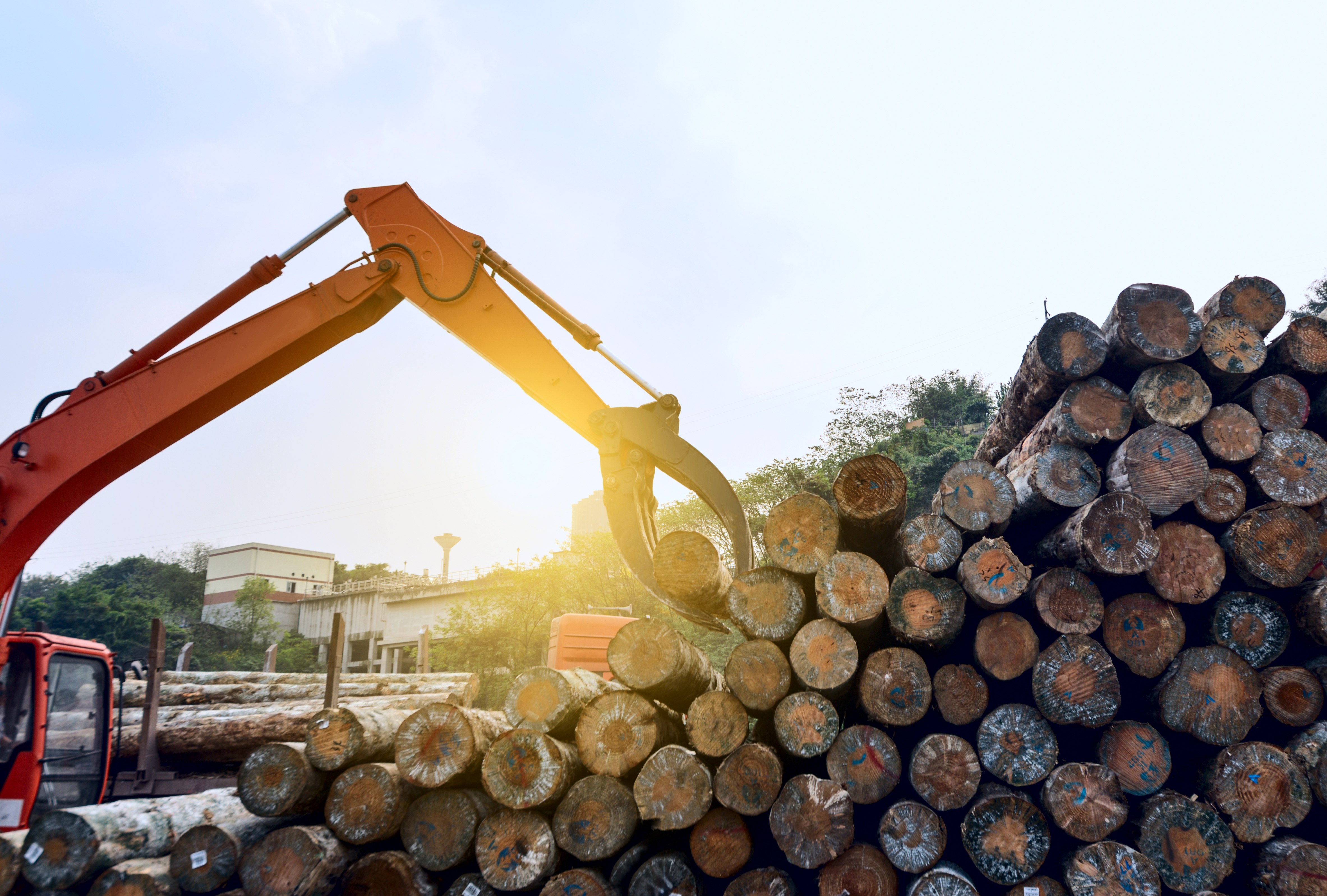 Timber